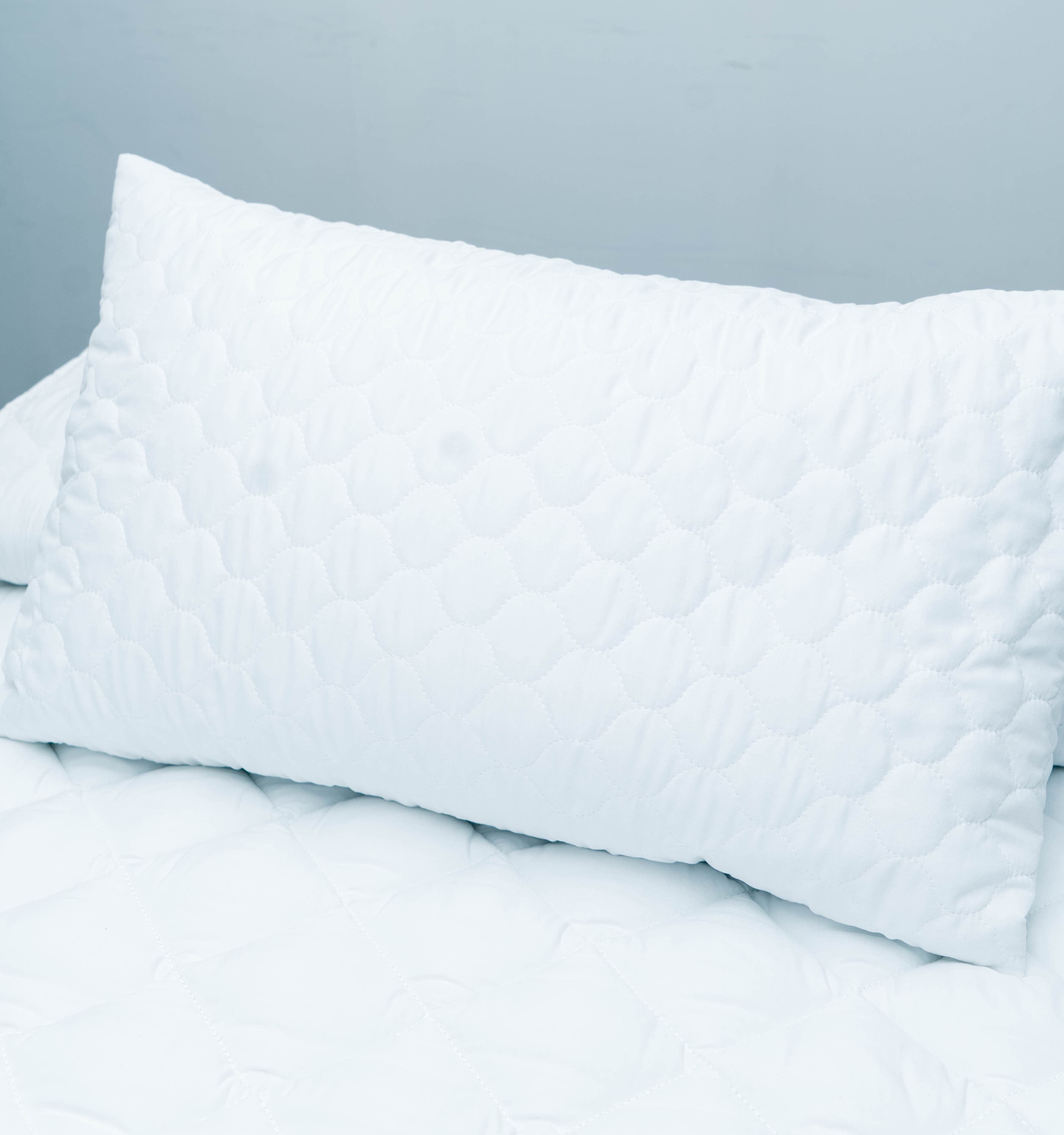 Pillow Protectors